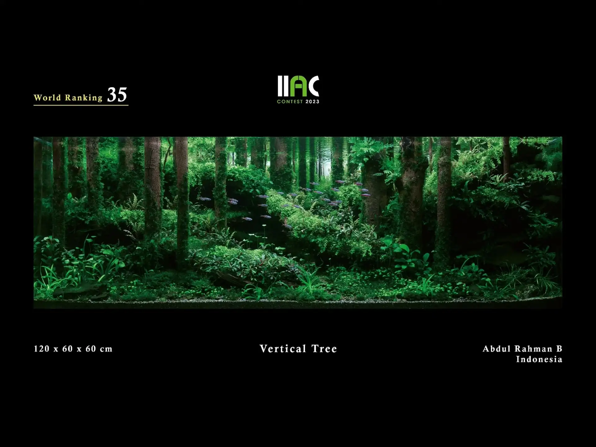 Vertical Tree - IIAC 2023 #35 Abdul Rahman B / Indonesia